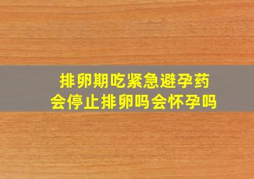 排卵期吃紧急避孕药会停止排卵吗会怀孕吗