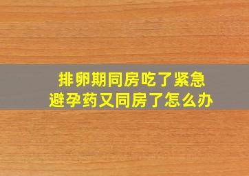 排卵期同房吃了紧急避孕药又同房了怎么办