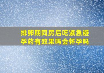 排卵期同房后吃紧急避孕药有效果吗会怀孕吗