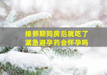 排卵期同房后就吃了紧急避孕药会怀孕吗