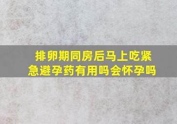 排卵期同房后马上吃紧急避孕药有用吗会怀孕吗