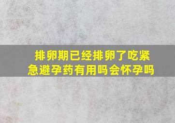 排卵期已经排卵了吃紧急避孕药有用吗会怀孕吗