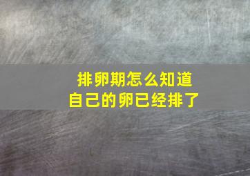 排卵期怎么知道自己的卵已经排了