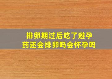 排卵期过后吃了避孕药还会排卵吗会怀孕吗