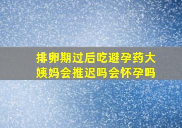 排卵期过后吃避孕药大姨妈会推迟吗会怀孕吗