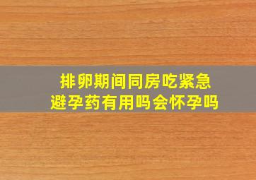 排卵期间同房吃紧急避孕药有用吗会怀孕吗