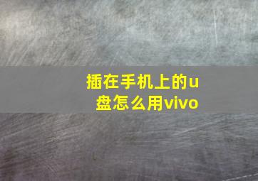 插在手机上的u盘怎么用vivo