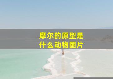 摩尔的原型是什么动物图片