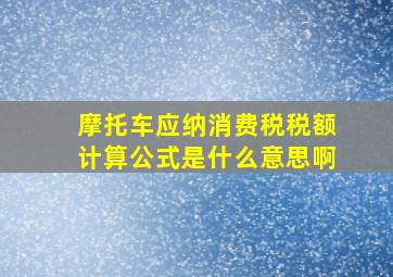 摩托车应纳消费税税额计算公式是什么意思啊