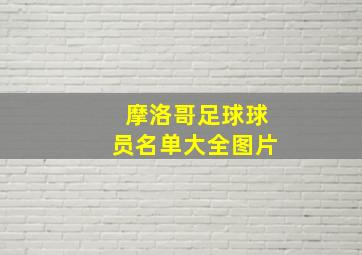 摩洛哥足球球员名单大全图片