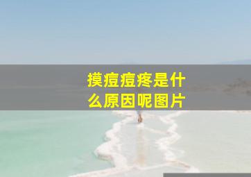 摸痘痘疼是什么原因呢图片