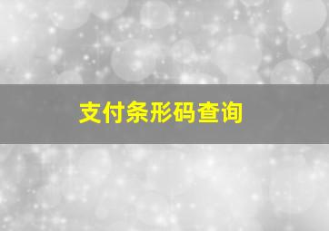 支付条形码查询