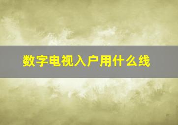 数字电视入户用什么线