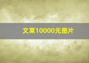 文莱10000元图片