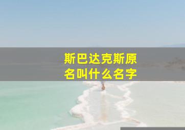 斯巴达克斯原名叫什么名字