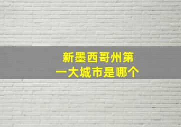 新墨西哥州第一大城市是哪个