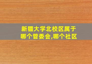 新疆大学北校区属于哪个管委会,哪个社区