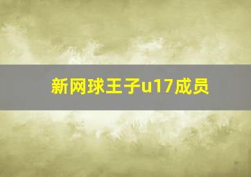 新网球王子u17成员