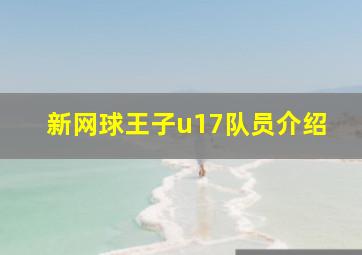 新网球王子u17队员介绍