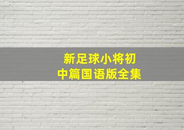 新足球小将初中篇国语版全集