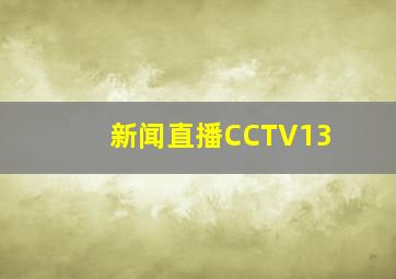 新闻直播CCTV13