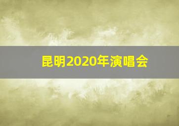 昆明2020年演唱会