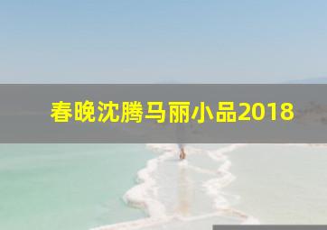 春晚沈腾马丽小品2018