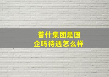 普什集团是国企吗待遇怎么样