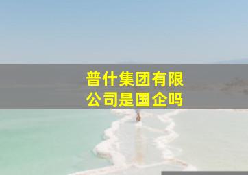 普什集团有限公司是国企吗