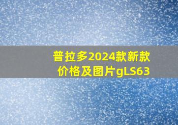 普拉多2024款新款价格及图片gLS63