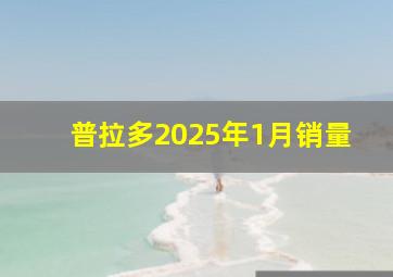 普拉多2025年1月销量