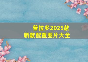 普拉多2025款新款配置图片大全