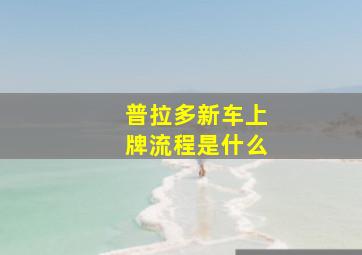 普拉多新车上牌流程是什么