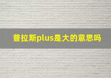 普拉斯plus是大的意思吗