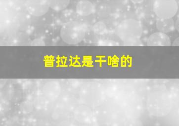 普拉达是干啥的