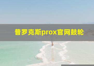 普罗克斯prox官网鼓轮