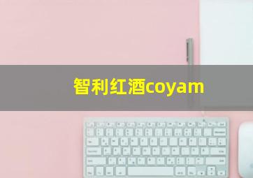 智利红酒coyam