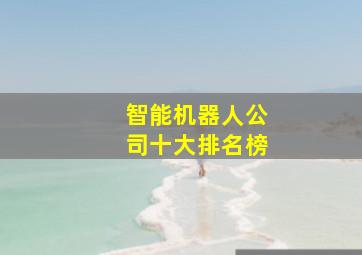 智能机器人公司十大排名榜