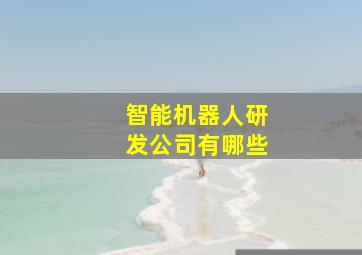 智能机器人研发公司有哪些