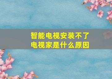 智能电视安装不了电视家是什么原因