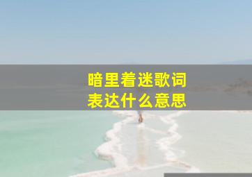 暗里着迷歌词表达什么意思