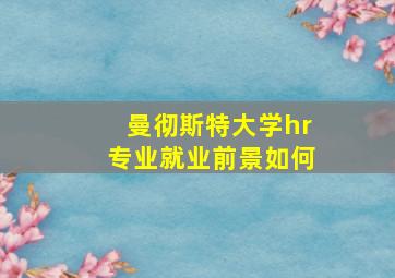 曼彻斯特大学hr专业就业前景如何