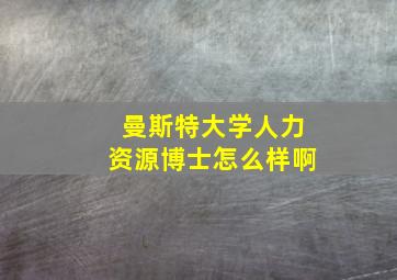 曼斯特大学人力资源博士怎么样啊