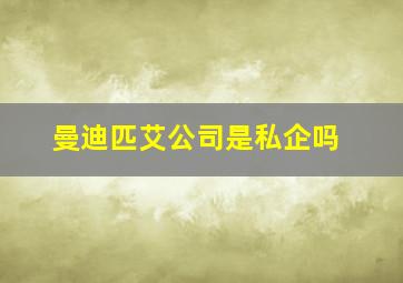 曼迪匹艾公司是私企吗