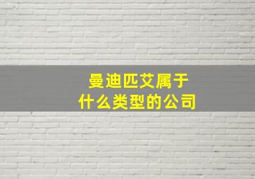 曼迪匹艾属于什么类型的公司