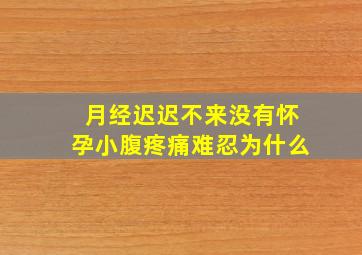 月经迟迟不来没有怀孕小腹疼痛难忍为什么