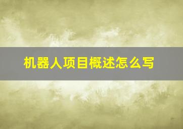 机器人项目概述怎么写