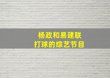 杨政和易建联打球的综艺节目