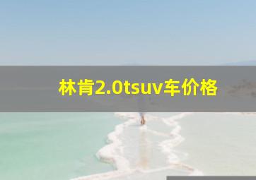 林肯2.0tsuv车价格