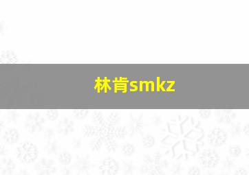 林肯smkz